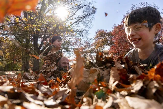 Off from school due to the Thanksgiving holiday this week, Felix Naranch, 7, right, and his brother Asa Naranch, 3, play with their father Stu Naranch in a pile of fall leaves that they raked together in a park, Tuesday, November 23, 2021, in Washington. (Photo by Jacquelyn Martin/AP Photo)