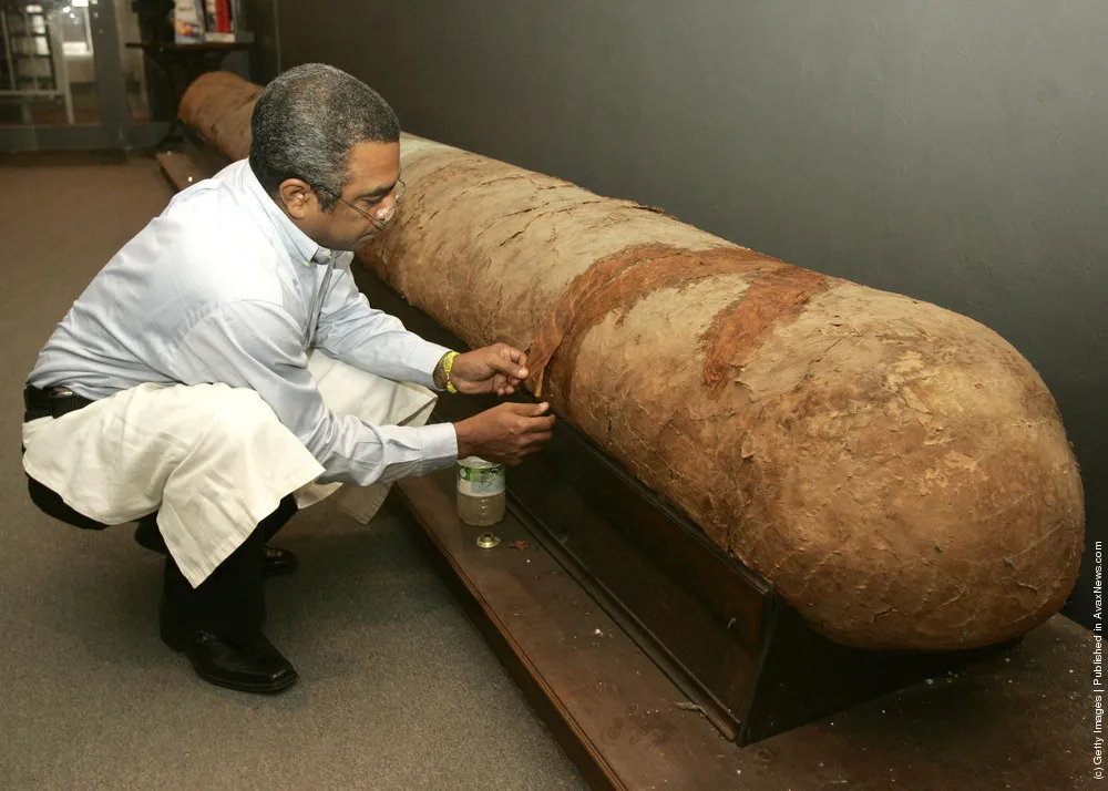 Largest Cigar In The World