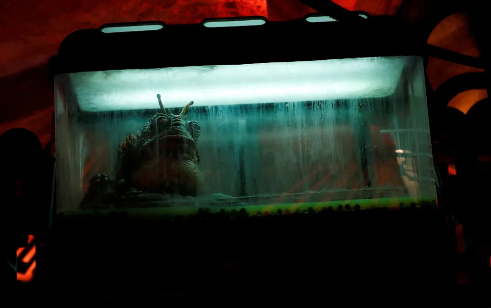 The Day in Photos – May 31, 2019