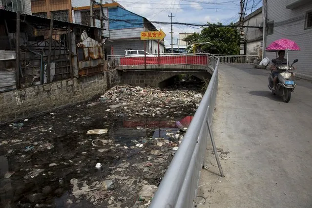 A polluted river flows past a workshop that is used for recycling electronic waste in the township of Guiyu in China's southern Guangdong province June 10, 2015. (Photo by Tyrone Siu/Reuters)