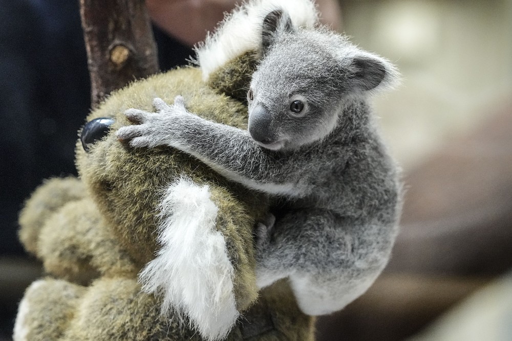 Pictures of the Year 2023, Part 038/224