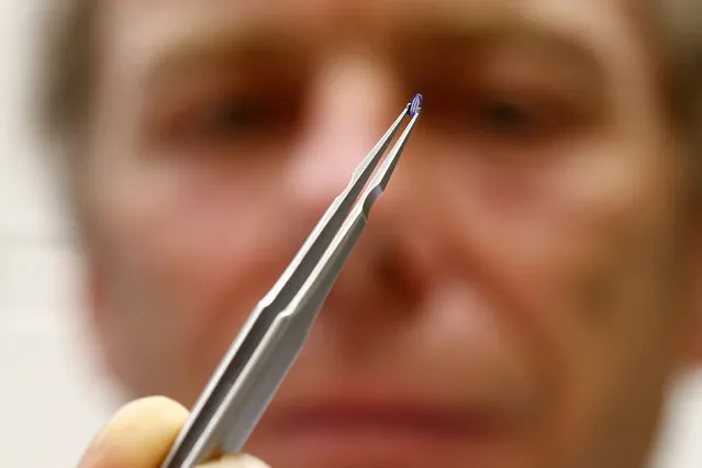 Physicist Urs Duerig uses tweezers to hold a silicon tip with a sharp apex, 100,000 times smaller than a sharpened pencil, of a prototype of an IBM NanoFrazor 3D nano printing tool at a laboratory of IBM Research in Rueschlikon, near Zurich April 23, 2014. (Photo by Arnd Wiegmann/Reuters)