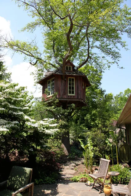 The French Gardener’s House, Annapolis, Maryland. A maple in the owner's backyard gave the landscape architect the idea to rise above his manicured yard for a better view. (Photo by Pete Nelson)