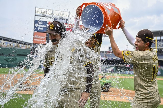 San Diego Padres pitcher Dylan Cease, left, is doused by teammates Manny Machado, center, and Tyler Wade, right, after he pitched a no-hitter baseball game against the Washington Nationals, Thursday, July 25, 2024, in Washington. (Photo by John McDonnell/AP Photo)