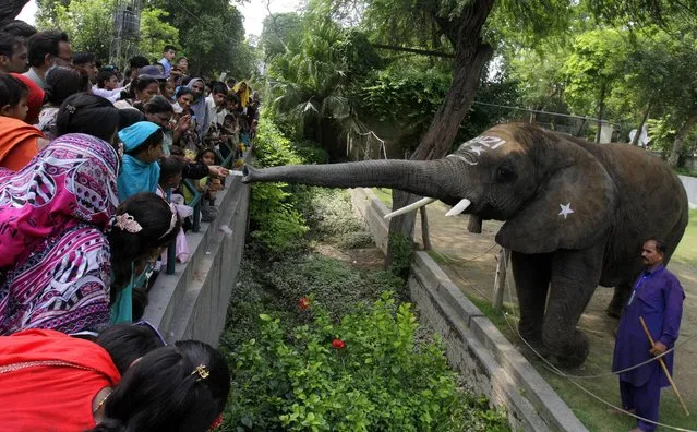 Pakistanis give money to an elephant named Suzi as they visit a zoo to celebrate Eid al-Fitr holidays in Lahore, Pakistan, Sunday, July 19, 2015. The three-day holidays of Eid al-Fitr marks the end of the holy fasting month of Ramadan. (Photo by K. M. Chaudary/AP Photo)