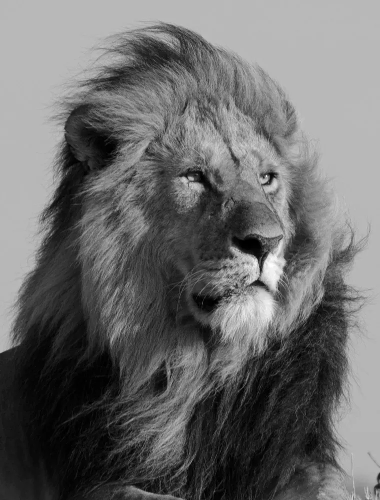 2014 National Geographic Photo Contest, Week 12, Part 1