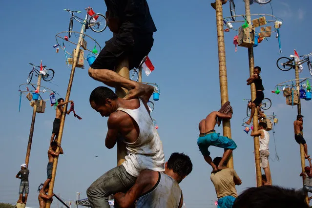 Indonesian men in teams of 4 try to climb to the top of a greased pole called a panjat pinang in order to get to the prizes tied to the top on August 17, 2015 in Jakarta, Indonesia. Cities and villages across Indonesia celebrated the country's 70th anniversary of Independence with traditional games, and music, and flag raising ceremonies. (Photo by Ed Wray/Getty Images)