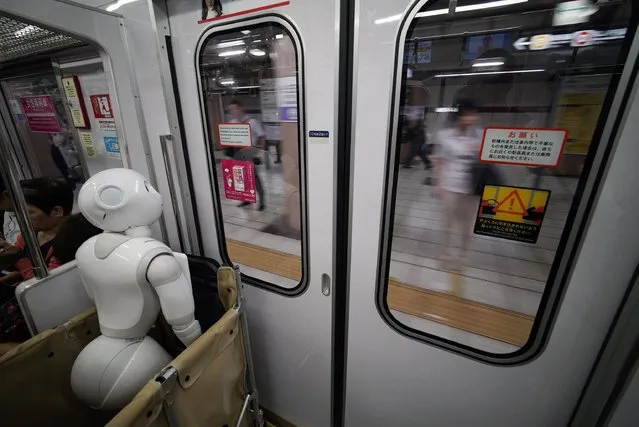 Tomomi Ota's humanoid robot Pepper rides a subway train in Tokyo, Japan, 27 June 2016. (Photo by Franck Robichon/EPA)