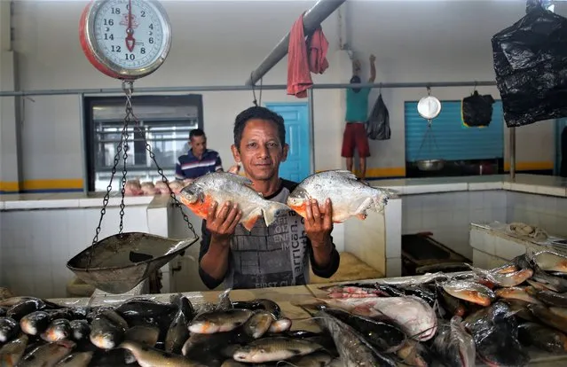 Vendor Aldemir Gomes da Silva holds up fish at the fish market in Atalaia do Norte, Amazonas state, Brazil, Friday, June 10, 2022. According with the police a wildcat fisherman is the main suspect of the disappearance of British journalist Dom Phillips and Indigenous affairs expert Bruno Pereira, and authorities say illegal fishing near the Javari Valley Indigenous Territory, where Phillips and Pereira went missing last Sunday has raised the tension with local Indigenous groups in the isolated area near the country's border with Peru and Colombia. (Photo by Edmar Barros/AP Photo)