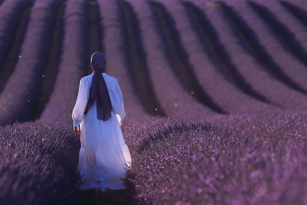 Some Photos: In Flowers