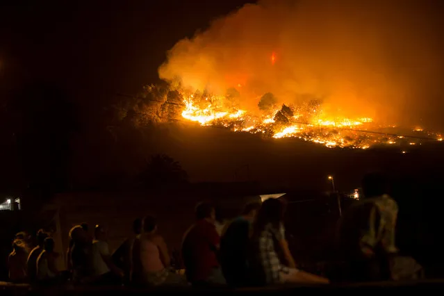 People watch as a forest fire burns out of control in Las Manchas, on the southwestern part of La Palma island, Spain, early August 5, 2016. (Photo by Borja Suarez/Reuters)
