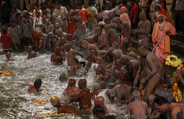 Naga Sadhus, or Hindu holy men take a dip in a holy pond during the second “Shahi Snan” (grand bath) at “Kumbh Mela”, or Pitcher Festival, in Trimbakeshwar, India, September 13, 2015. (Photo by Danish Siddiqui/Reuters)