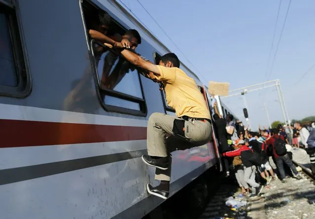 Migrants board a train at the Tovarnik railway station, Croatia September 18, 2015. (Photo by Antonio Bronic/Reuters)