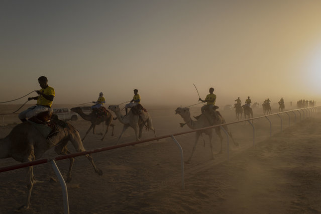 Participants of a race ride their camels during a competition organised in Nouakchott on February 16, 2025. (Photo by Michele Cattani/AFP Photo)