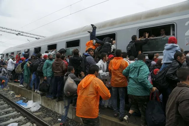 Migrants wait to board a train while others climb through windows at the station in Tovarnik, Croatia, September 20, 2015. (Photo by Antonio Bronic/Reuters)