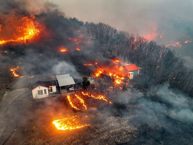 A house is surrounded by wildfire that devastates the area, in Uiseong, South Korea, on March 24, 2025. (Photo by Yonhap via Ruters)