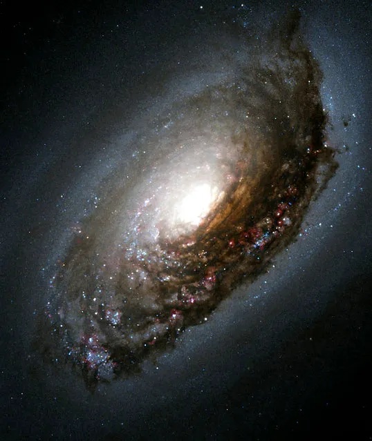 The “Black Eye” galaxy, so named because an ancient cosmic smashup produced a dark ring and a roiling, conflicted interior. What looks like a black eye in the image is actually a dark band of dust that stands out vividly in front of the galaxy's bright nucleus. (Photo by Reuters/NASA/Hubble Heritage Team)