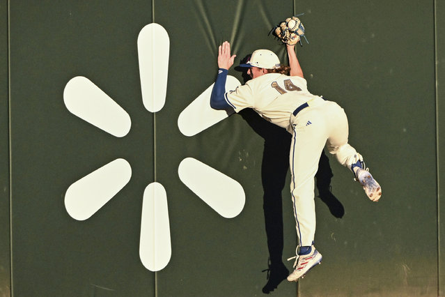 Kansas outfielder Tommy Barth (14) slams into the outfield wall as he makes the catch for an out against Creighton during an NCAA college baseball regional tournament game, Friday, May 30, 2025, in Fayetteville, Ark. (Photo by Michael Woods/AP Photo)