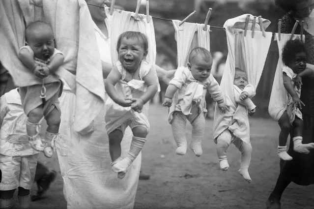 Babies (6-11 months) hanging on clothes line. (Photo by Bettmann Archive)