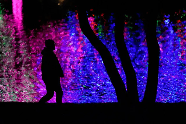 A man is silhouetted against Christmas lights reflected off a pond as he visits a park, Sunday, December 4, 2022, in Lenexa, Kan. (Photo by Charlie Riedel/AP Photo)