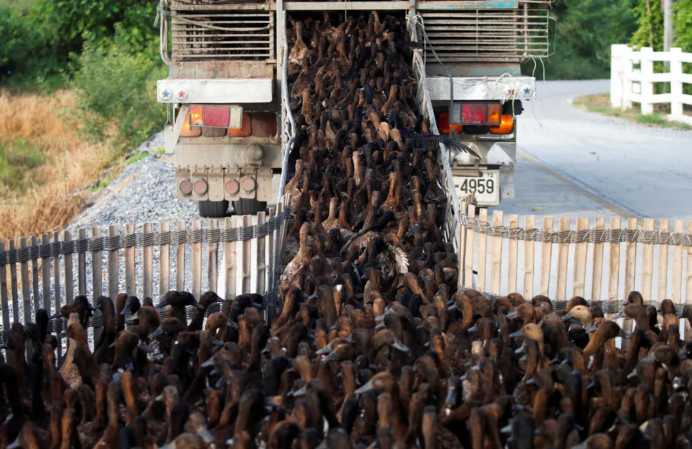 A Look at Life in Thailand