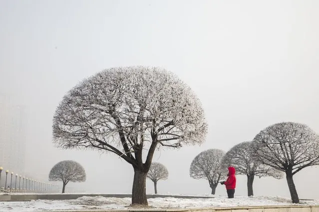 On February 6, 2023, the third day after the beginning of spring, Jilin City, Jilin Province, witnessed a rare natural spectacle of heavy fog, snowflakes, rime and sun gathering. At about 9 a.m., a dense fog with a visibility of less than 50 meters suddenly appeared in the urban area along the Songhua River. People, cars and buildings were shrouded in the fog, which disappeared from time to time, and did not disappear until more than 11 o'clock. In the morning, there were still snowflakes floating in the sky. The rime viewing belt was covered in silver, and the sun appeared after 9 o'clock. These four natural phenomena seem very common, but it is difficult to see them at the same time. (Photo by Sipa Asia/Rex Features/Shutterstock)