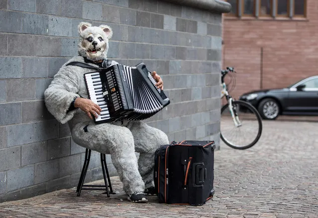 A street musician wears a costume as he plays his accordion in Frankfurt, Germany on February 16, 2018. (Photo by Frank Rumpenhorst/AFP Photo)