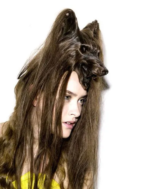 Creative Animal Hair Style Collections