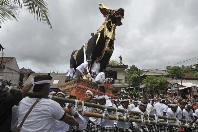 People carry the cattle coffin for the body of Tjokorda Raka Sukawati during cremation ceremony in Ubud, Bali resort island, December 9, 2014 in this photo taken by Antara Foto. (Photo by Nyoman Budiana/Reuters/Antara Foto)