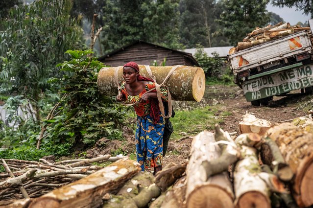 Women carry logs from a clearing in Kibumba on August 28, 2025. The head of the UN's refugee agency said on Tuesday the Democratic Republic of Congo and Rwanda have agreed to repatriate refugees uprooted by conflict in eastern DRC The declaration, by UNHCR chief Filippo Grandi in Kinshasa, came as tensions persist between DRC and Rwanda, despite a US-brokered peace deal they signed in June DRC is currently holding peace talks also with the Rwanda-backed M23 militia, which has seized swathes of eastern DRC. (Photo by Jospin Mwisha/AFP Photo)