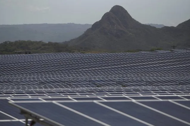 Newly installed solar panels are seen at the Honduran Solar Energy Company SA (COHESSA) and Solar Power SA (Soupy) solar power plant in Nacaome, Honduras, May 12, 2015. The plant, the largest solar plant in Latin America, can provide more than 10 percent of the electricity needed in the country, according to local officials. (Photo by Jorge Cabrera/Reuters)