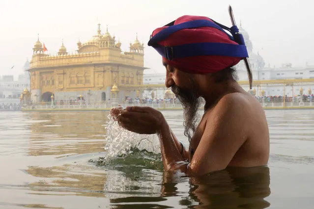 An Indian Sikh devotee bathes in the holy sarovar (water tank) on the occasion of Bandi Chhor Divas, or Diwali, at the Golden Temple in Amritsar on October 30, 2016. Sikhs celebrate Bandi Chhor Divas, or Diwali, to mark the return of the sixth Guru, Guru Hargobind Ji, who was freed from imprisonment and also managed to release 52 political prisoners at the same time from Gwalior fort held by Mughal Emperor Jahangir in 1619. (Photo by Narinder Nanu/AFP Photo)