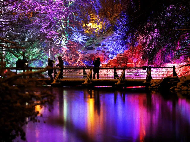 People walk over a bridge at an illuminated pond as a part of the “winter lights” exhibition in the Palmengarten park in Frankfurt, Germany, Sunday, December 10, 2017. (Photo by Michael Probst/AP Photo)