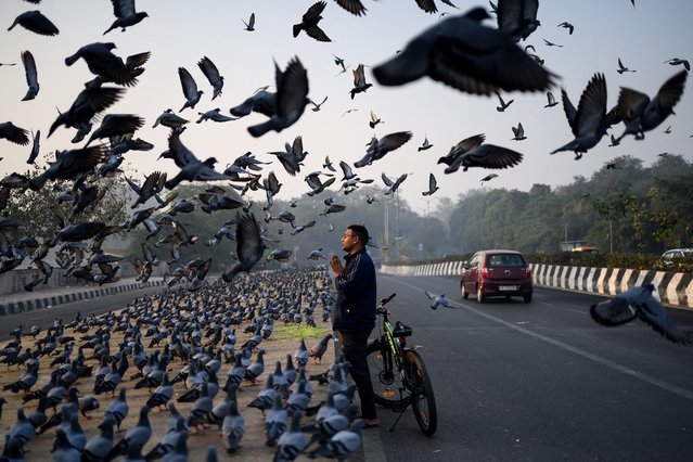 A man offers prayers along a road, as pigeons fly past on a smoggy morning in New Delhi on December 3, 2025. (Photo by Manan Vatsyayana/AFP Photo)