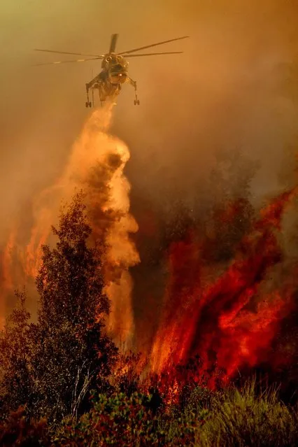 Ominous: Coming out of the smoke and steam the aircrew fly low over the trees looking for the remaining flames. (Photo by Antonio Grambone/Caters News Agency Ltd)