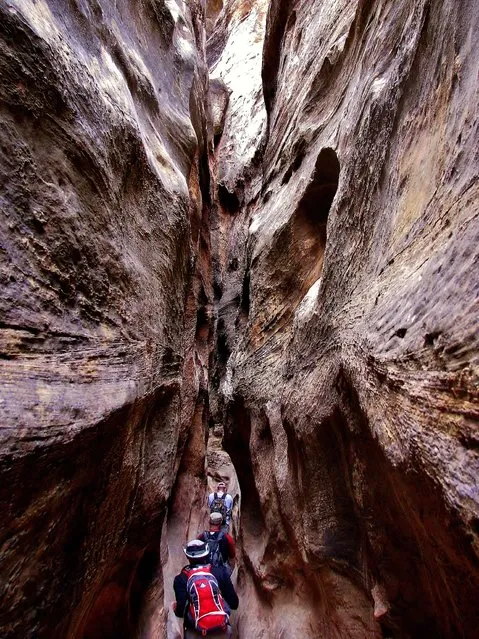 “The Narrows”. Hiking Burro Wash, a classic example of “slot canyons” which so typify the canyon country of southern Utah; deep, narrow secret places within the Waterpocket Fold. Location: Capital Reef National Park, Fruita, Utah. USA. (Photo and caption by Mark Siebels/National Geographic Traveler Photo Contest)