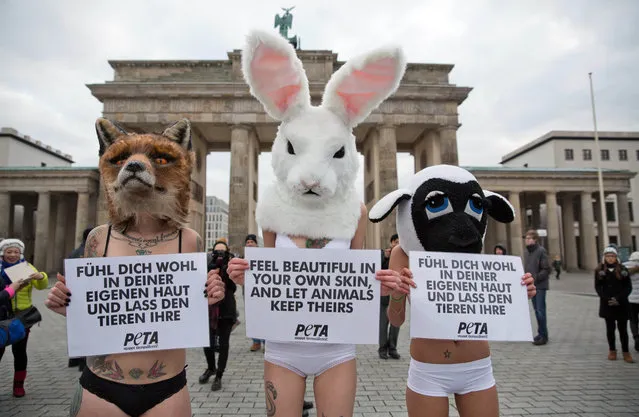PETA activists with masks of a fox, a bunny and a sheep hold posters during a protest at the beginning of the Fashion Week in front the Brandenburg Gate in Berlin, Germany, Monday, January 19, 2015. The posters at right and left are the German versions of the poster at center. (Photo by Joerg Carstensen/AP Photo/DPA)