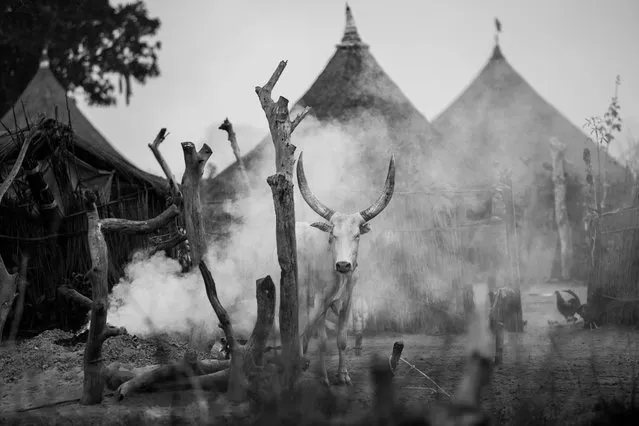 “Sudanese crescent”. sudanese currency in the village of Duk Payuel, South Sudan. (Photo and caption by Patrick Reddish/National Geographic Traveler Photo Contest)