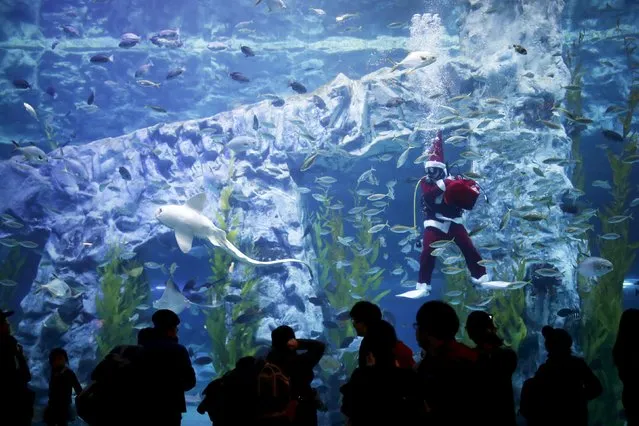 A diver dressed in a Santa Claus costume performs during an event celebrating the upcoming Christmas holiday at Lotte World Aquarium in Seoul, South Korea, December 18, 2015. (Photo by Kim Hong-Ji/Reuters)