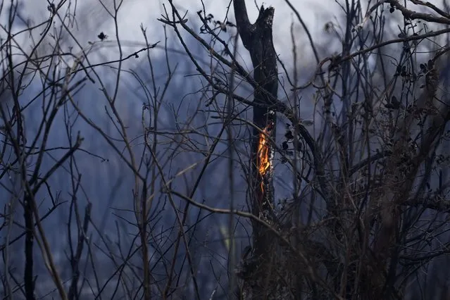Smoke and embers remain in an extensive area of the Serra das Bandeiras after being swept by a fire, in Barreiras, western Bahia state, Brazil, Thursday, September 21, 2023. According to the National Center for Prevention and Combat of Forest Fires, the fires are being fanned by strong winds, high temperatures, and dry weather. (Photo by Eraldo Peres/AP Photo)