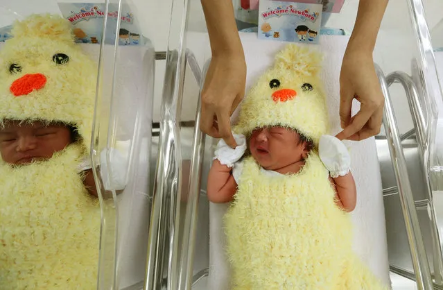 A Thai nurse cares for babies, born in the year 2017, dressed in chicken suits at the nursery room of Paolo Chockchai 4 Hospital, in Bangkok, Thailand, 03 January 2017. The hospital dressed up newborn babies in chicken suits as a way to celebrate the Year of the Chicken. (Photo by Narong Sangnak/EPA)