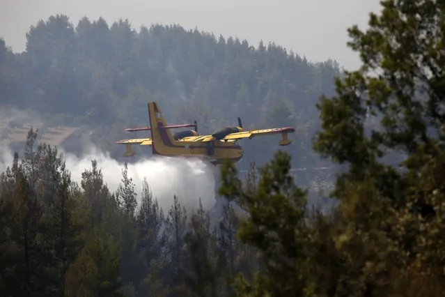 An aircraft drops water over a fire in Galatsonas village on Evia island, about 184 kilometers (115 miles) north of Athens, Greece, Wednesday, August 11, 2021. Hundreds of firefighters from across Europe and the Middle East worked alongside Greek colleagues in rugged terrain Wednesday to contain flareups of the huge wildfires that ravaged Greece's forests for a week, destroying homes and forcing evacuations. (Photo by Lefteris Pitarakis/AP Photo)