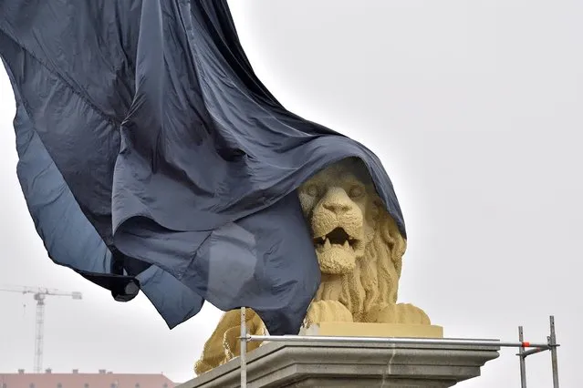 A lion statue built from Lego bricks is unveiled at the Pest bridgehead of the landmark Chain Bridge that spans over the River Danube between Buda and Pest, in Budapest, Hungary, 27 October 2022. The lego lion statue, which is weighing around 3 tons and was completed in 28 days from 850,000 elements in the joint project of A-Hid, the Budapest Brand Office and the Lego Company, will be exhibited at the Clark Adam Square after its unveiling. The original stone lion was transported for renovation earlier, as part of the works related to the renewal of the Chain Bridge. (Photo by Peter Lakatos/EPA/EFE)