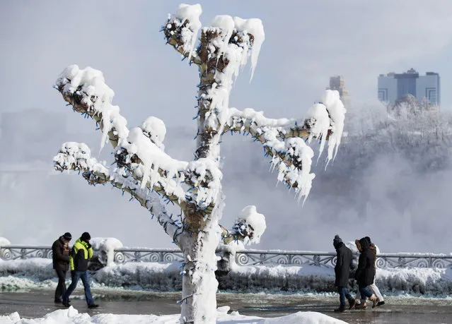 People walk by trees covered in ice from the mist of the falls in Niagara Falls, Ontario, Canada on January 31, 2019. A brutal cold wave moved eastward on January 31, 2019, after bringing temperatures in the US Midwest lower than those in Antarctica, grounding flights, closing schools and businesses and raising fears of hypothermia. (Photo by Lars Hagberg/AFP Photo)
