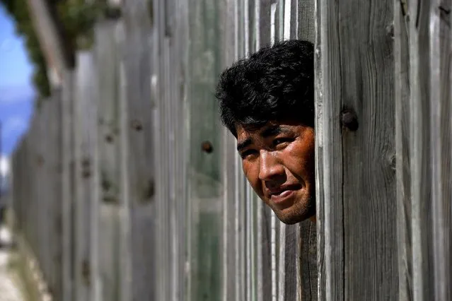 An Afghan immigrant looks through a wooden fence in a factory as he prepares to make a run towards the ferry terminal in the western Greek town of Patras May 4, 2015. (Photo by Yannis Behrakis/Reuters)