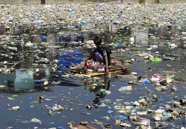 A scavenger wades through a polluted river using a makeshift raft made of styrofoam to collect reusable items at Capulong Tondo, metro Manila, Philippines April 22, 2016. (Photo by Romeo Ranoco/Reuters)