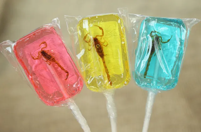 Scorpions are suspended in lollipops at the booth of a retailer selling edible insects for human consumption at the 2014 re:publica conferences on digital society on May 6, 2014 in Berlin, Germany. Advocates seeking to promote insects as food for people see insects as a major and cheap source of protein and a necessary means to fight global hunger. (Photo by Sean Gallup/Getty Images)