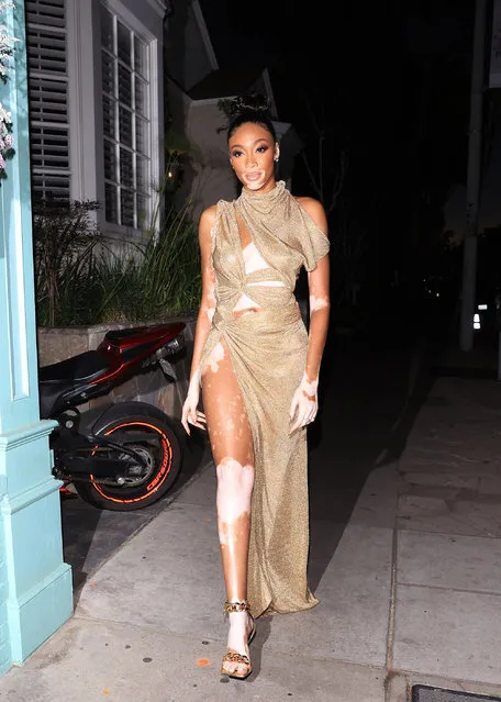 Jamaican-Canadian fashion model Winnie Harlow is seen on March 24, 2022 in Los Angeles, California.  (Photo by Rachpoot/Bauer-Griffin/GC Images)