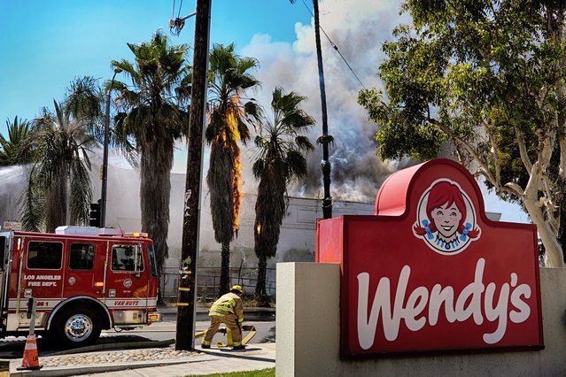 A palm tree catches fire as Los Angeles firefighters battle a building fire on Saturday, July 20, 2024, in the Panorama City section of Los Angeles. (Photo by Richard Vogel/AP Photo)