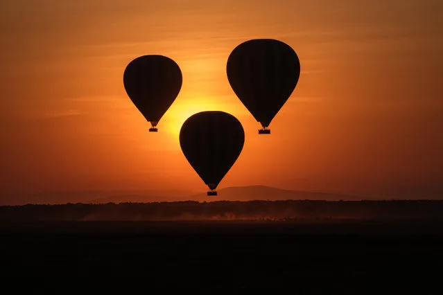 Hot-air balloons fly up with tourists at sunrise in the Masai Mara game reserve in Kenya on September 20, 2019. (Photo by Yasuyoshi Chiba/AFP Photo)